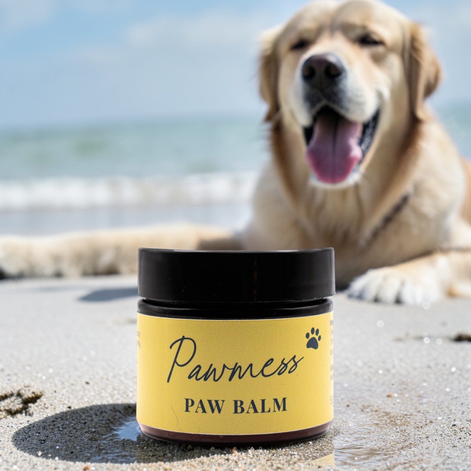 Pawmess Paw Balm for Dogs - Travel Essential
